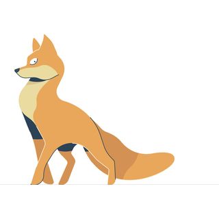 shape shifter befuddle fuddle coyote