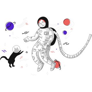 astronaut spaceman pet cat