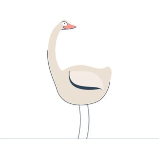 shape shifter wander stray cob swan