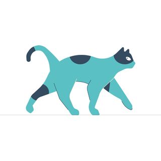shape shifter elephant like raccoon like protozoa like