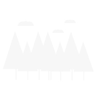 forest fresh air clouds park pine trees