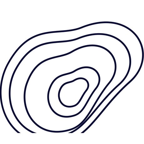 line - Artify Assets