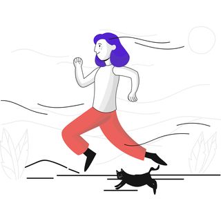 jogging pet cat ride run