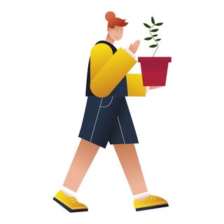 gardening woman plant watering care