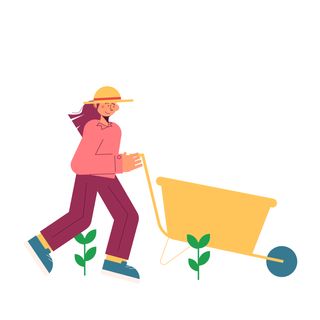 hat woman farmer wheelbarrow vegetable plot