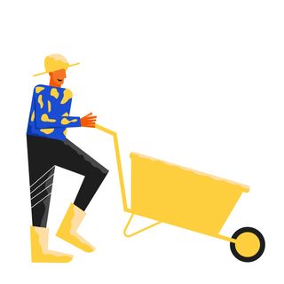 work farmer wheelbarrow transport man